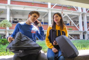 开云体育app下载-世界青少年攀岩技能大赛在上海盛大举行，众少年展风采，2020年全国青少年攀岩锦标赛