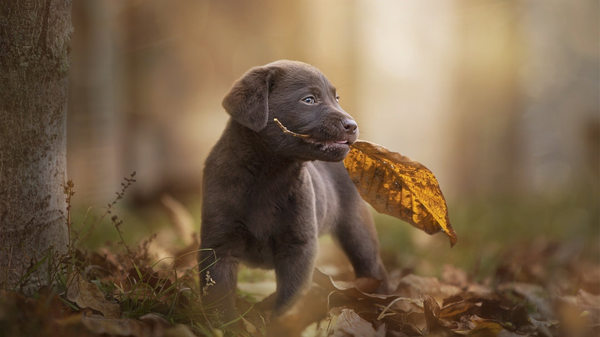 开yun官网-中国女篮加强对抗练习提升身体素质，中国女篮真棒