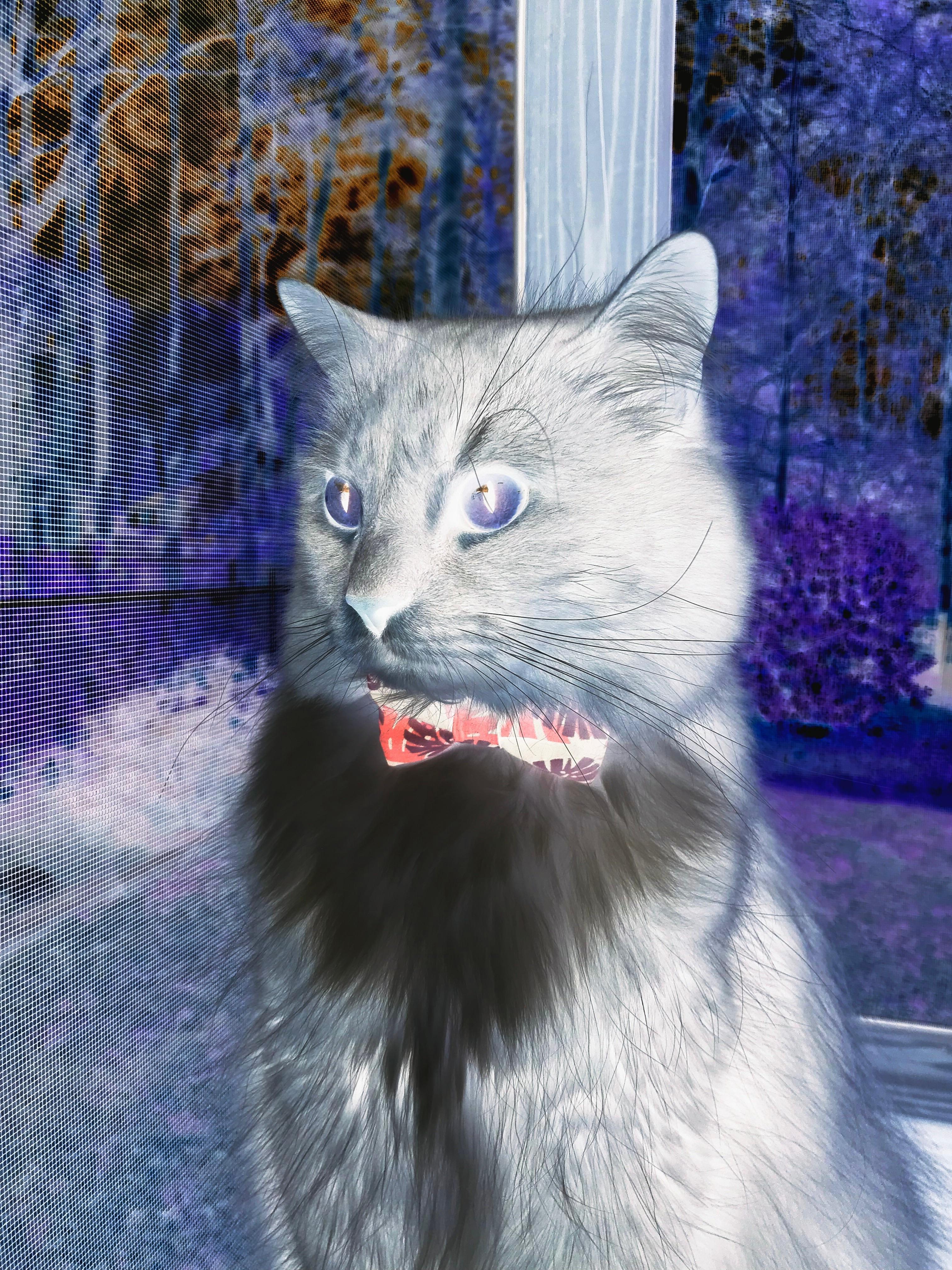 开云体育在线-中甲联赛外援政策调整加大本土球员登场机会，中甲外援年薪排行榜