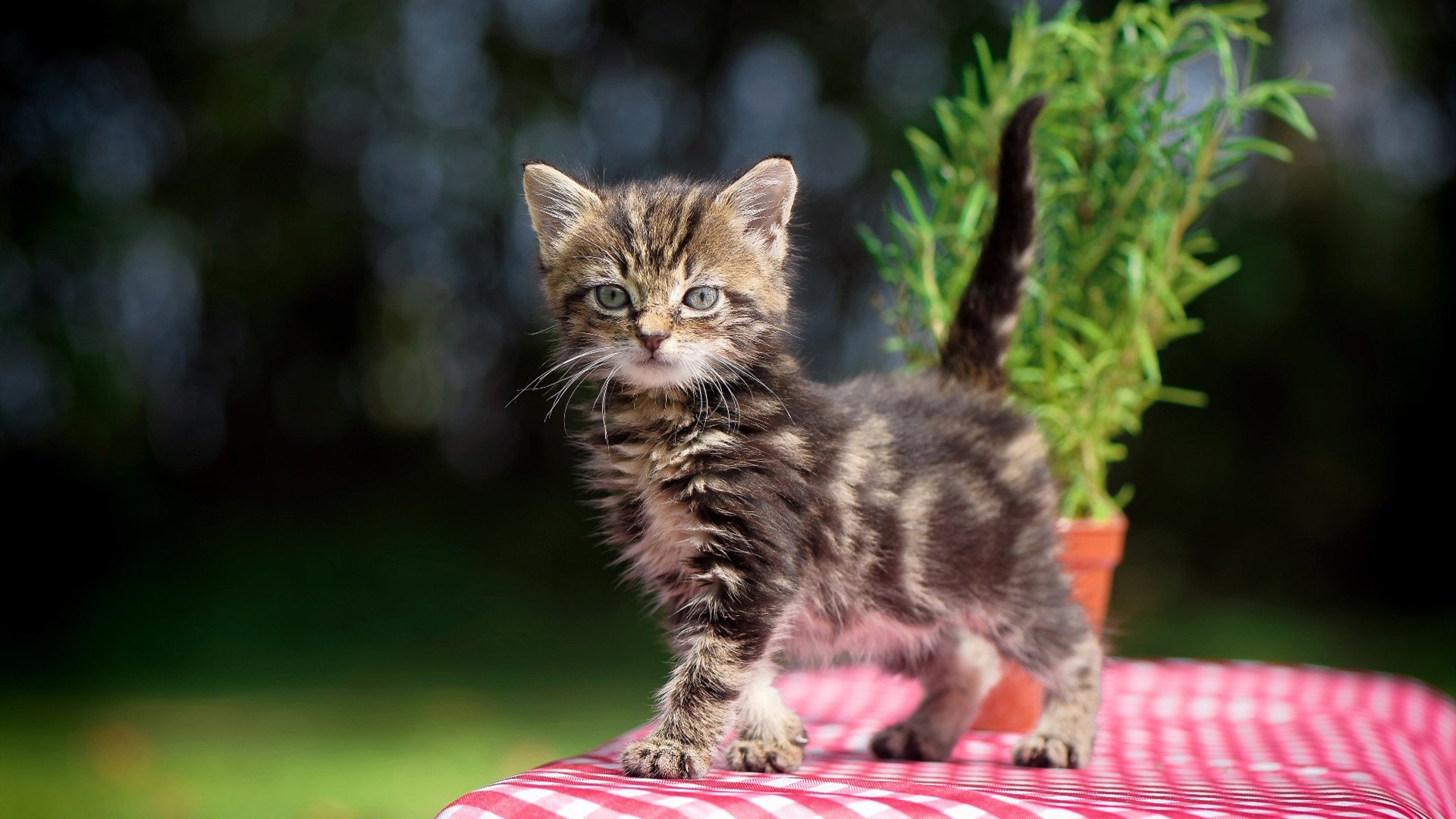 开云体育下载-中超联赛中国青年队爆冷 球迷反思青训体系，中超青年csly