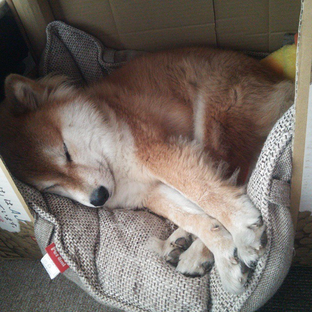 球员场上决策力是否能通过训练提升,对足球运动员比赛中的运动决策水平进行评价