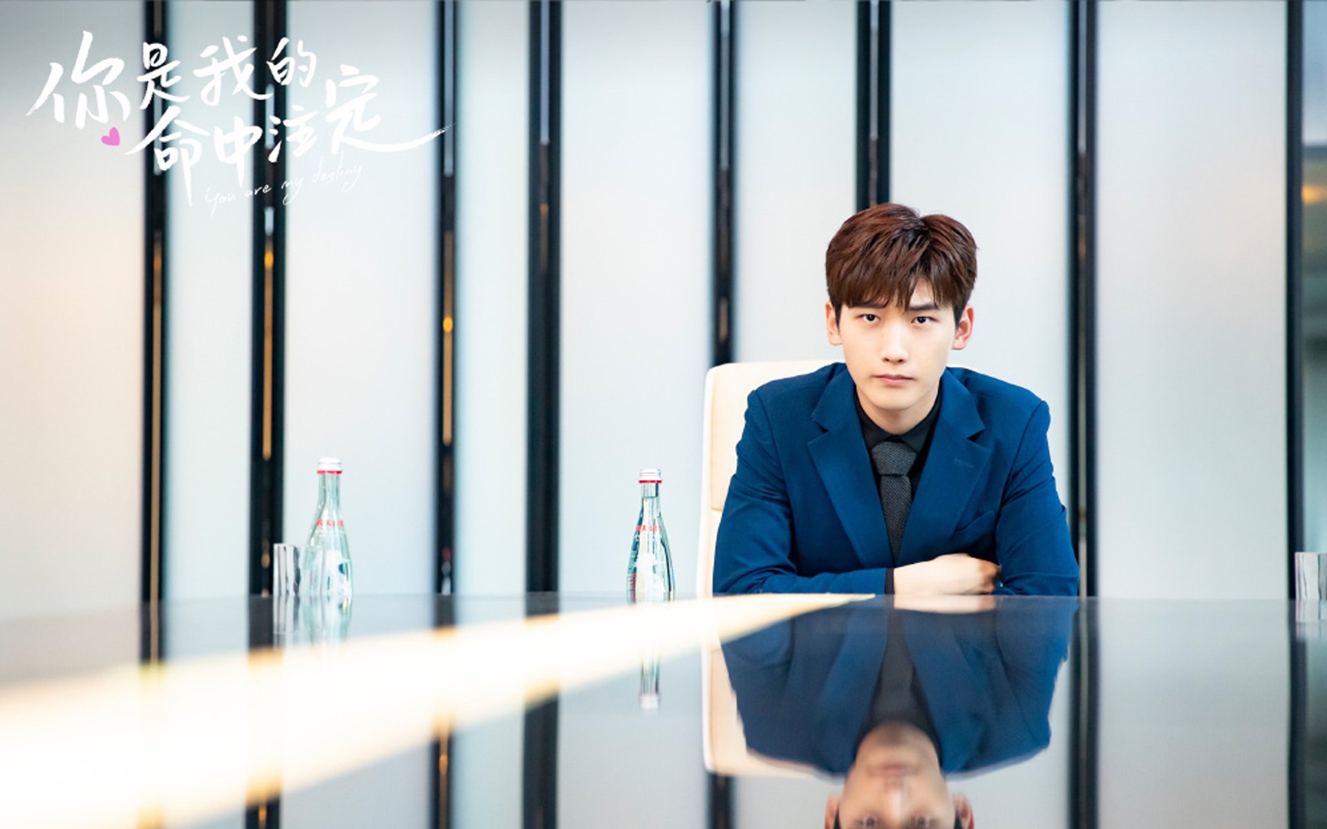 辽宁飞豹防守轮转迅速有效压制外围投篮,辽宁飞豹队员名单