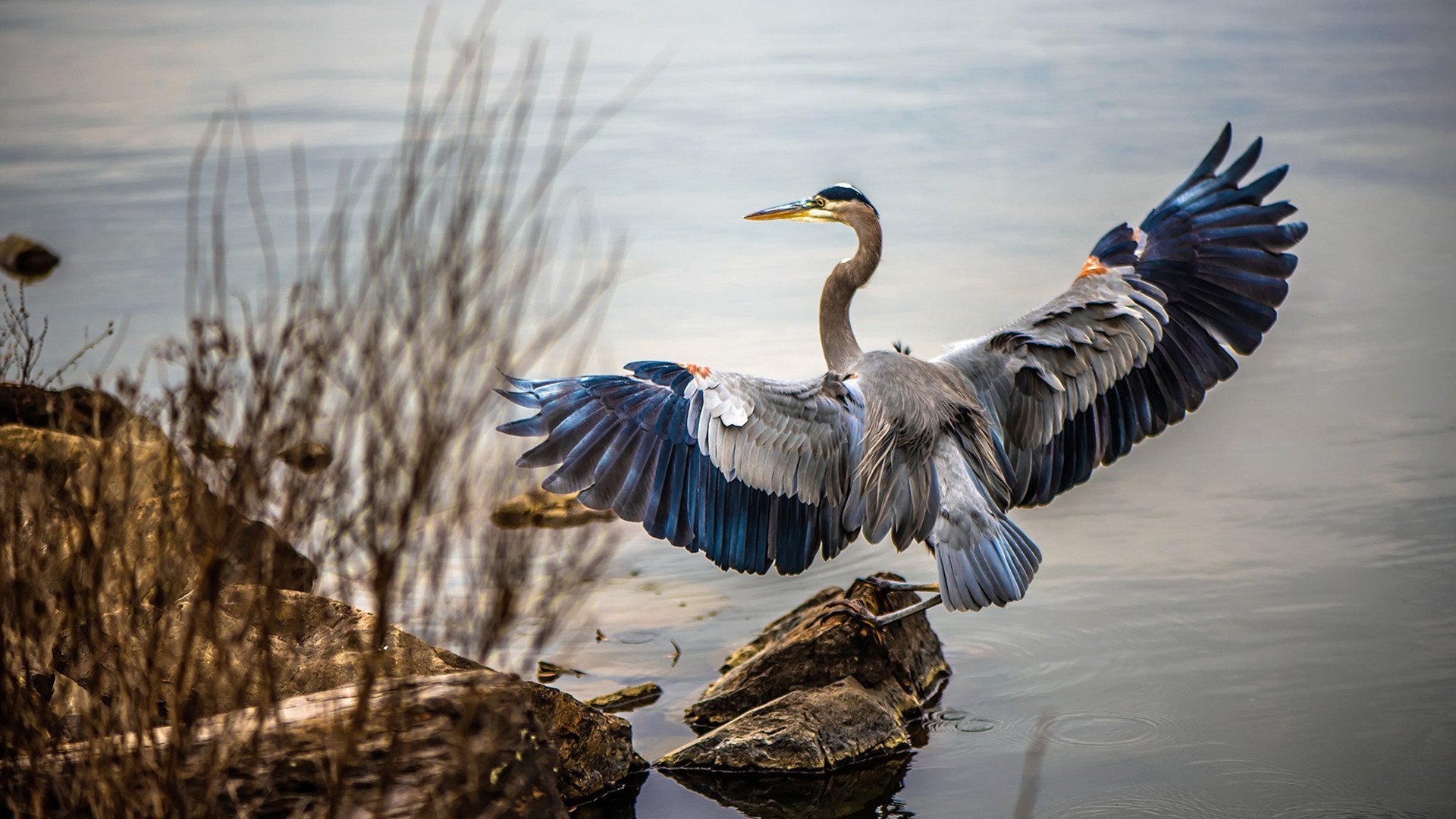 C罗本赛季已完成十次助攻,c罗生涯助攻数据统计