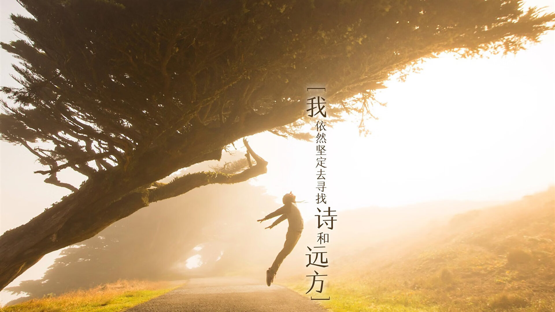 “南非羚羊队的强大阵容:萨尔·巴赫和其他新星的完美搭档”