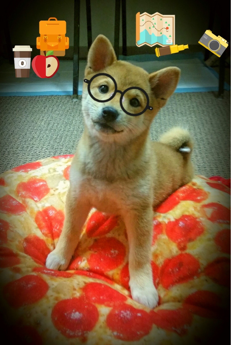 格林伍德凭借高效防守与预判能力,成为袋鼠队防线的绝对核心,格林伍德百度百科