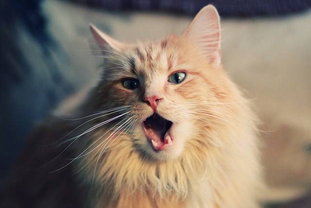 开云体育app入口-上季失利警醒新疆，果断签下持球大核路易斯金，防守同样出色