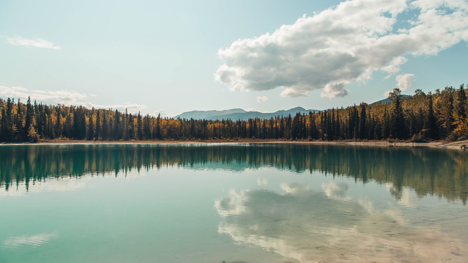 世界运会成为腰旗走向奥运的重要跳板